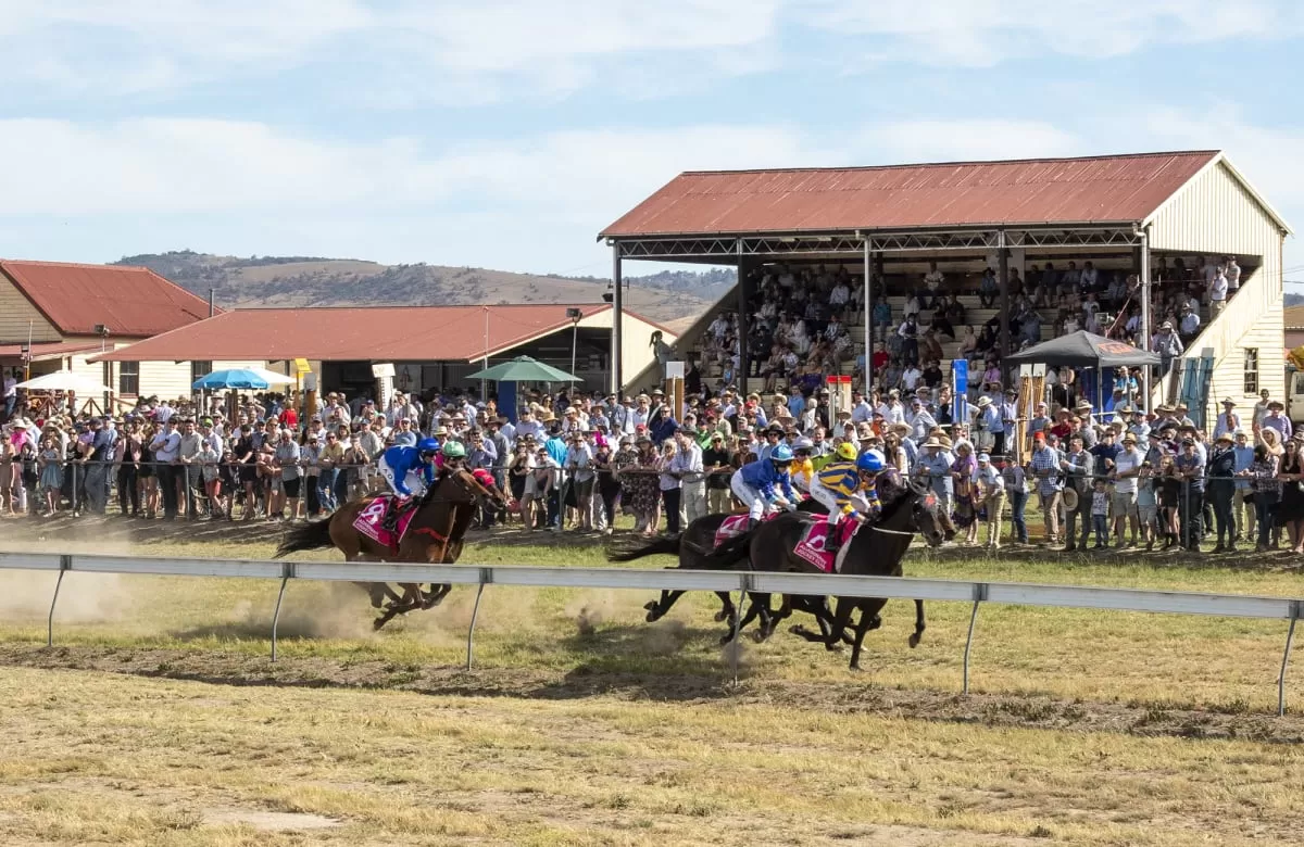 Attend one of the great days out at the Adaminaby Races - Snowy Mountains Magazine image