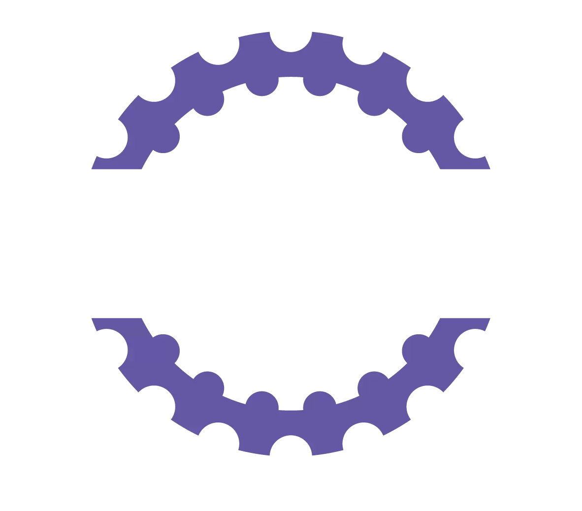 Snowy Classic 2024 image