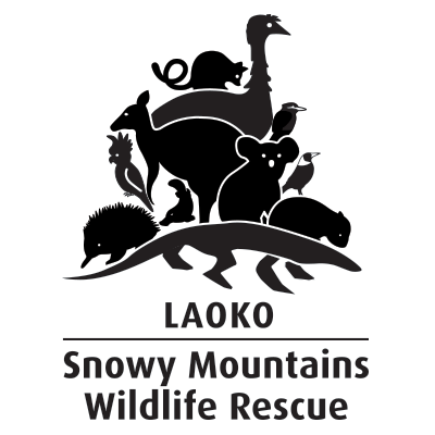 LAOKO - Snowy Mountains Wildlife Rescue