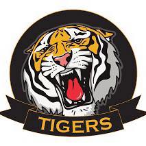 Jindabyne Tigers Cricket Club logo